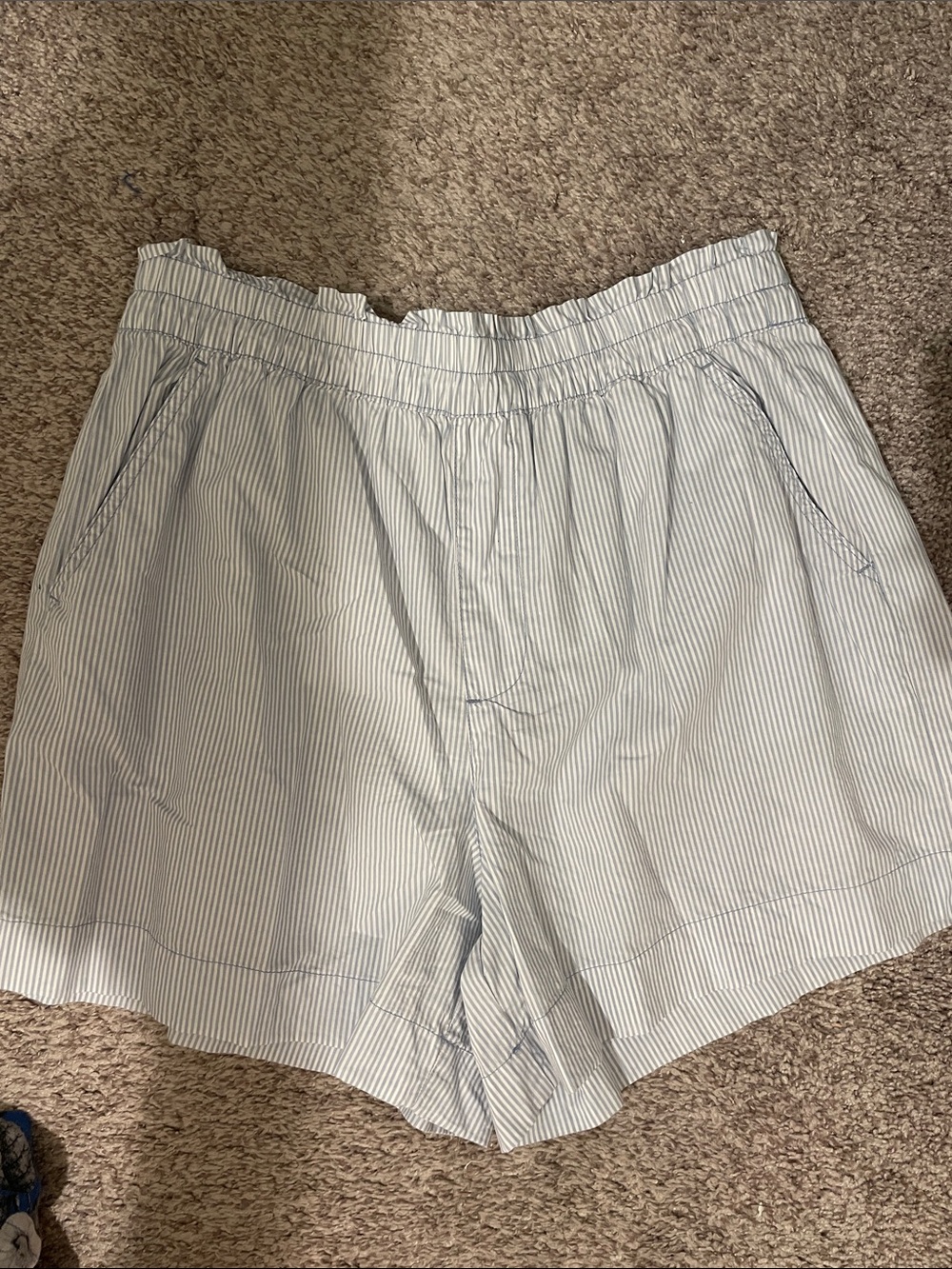 aerie Light Blue Pinstripe full on cotton shorts large